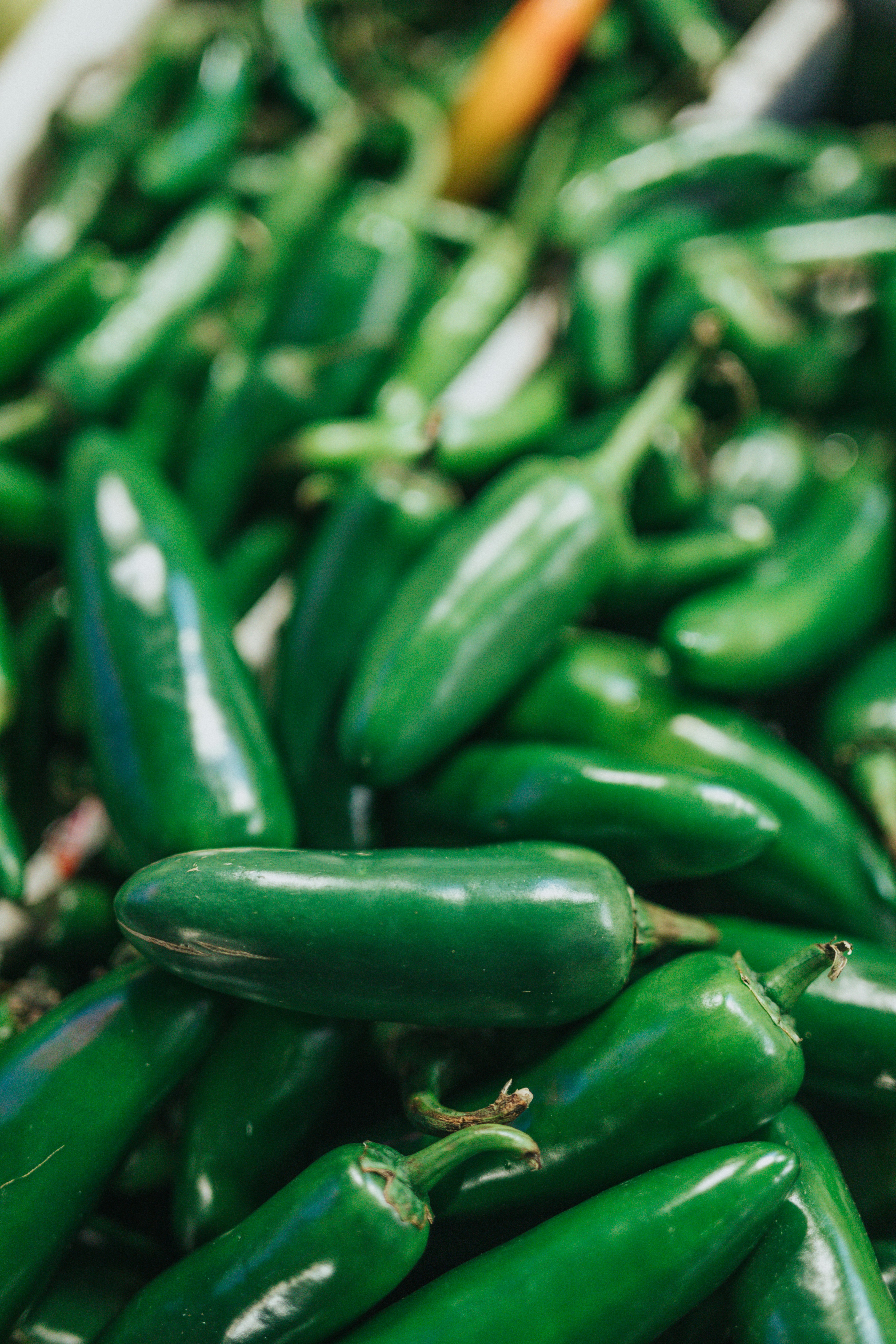 Photo by nate_dumlao