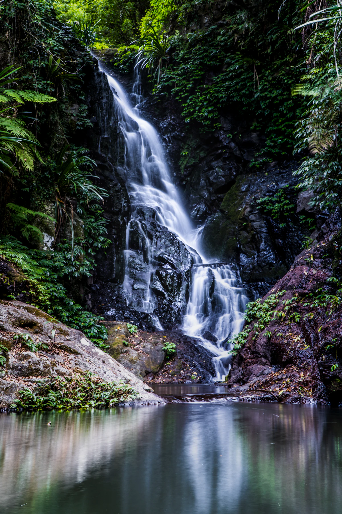 Waterfall in Queensland Scenic Rim