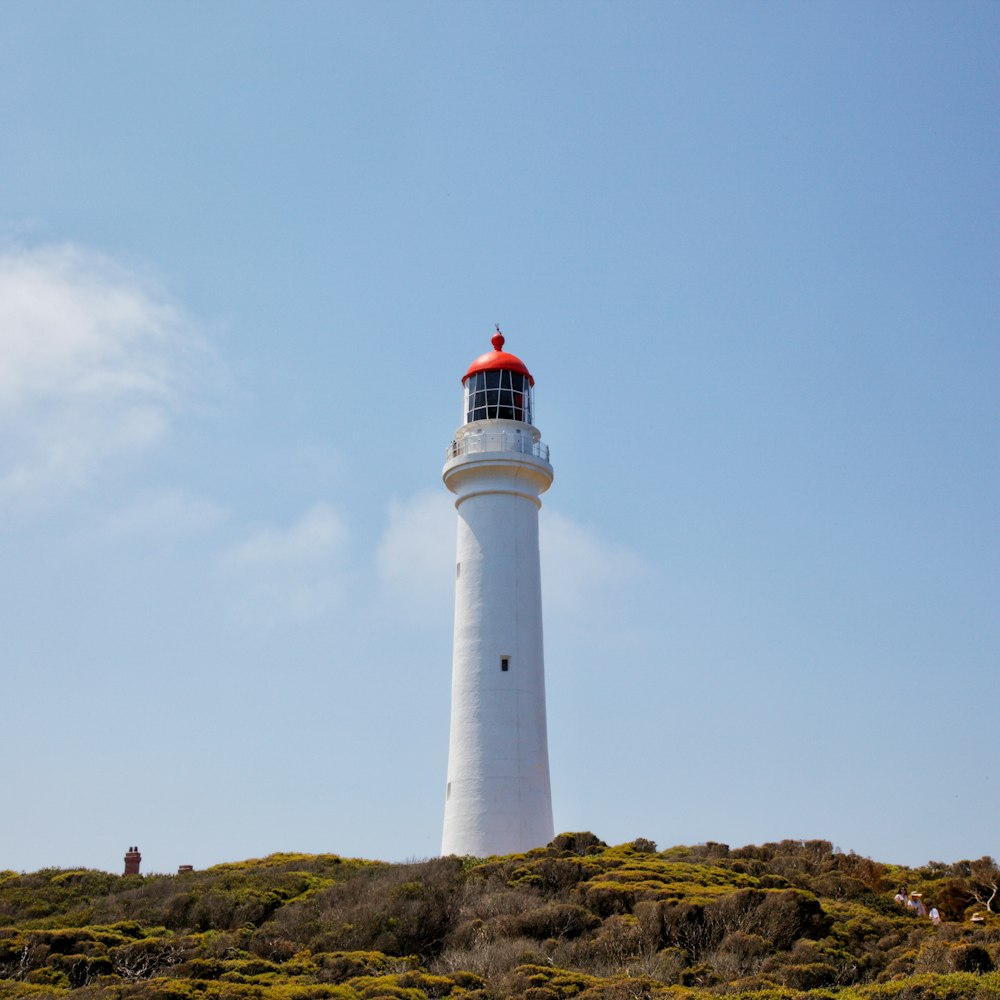 white and red lighthouse