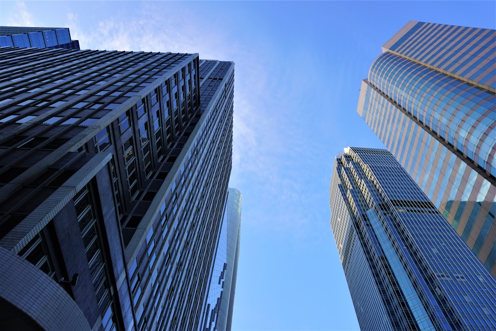 curtain wall high-rise buildings during daytime