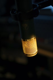 selective focus photography black and brown microphone