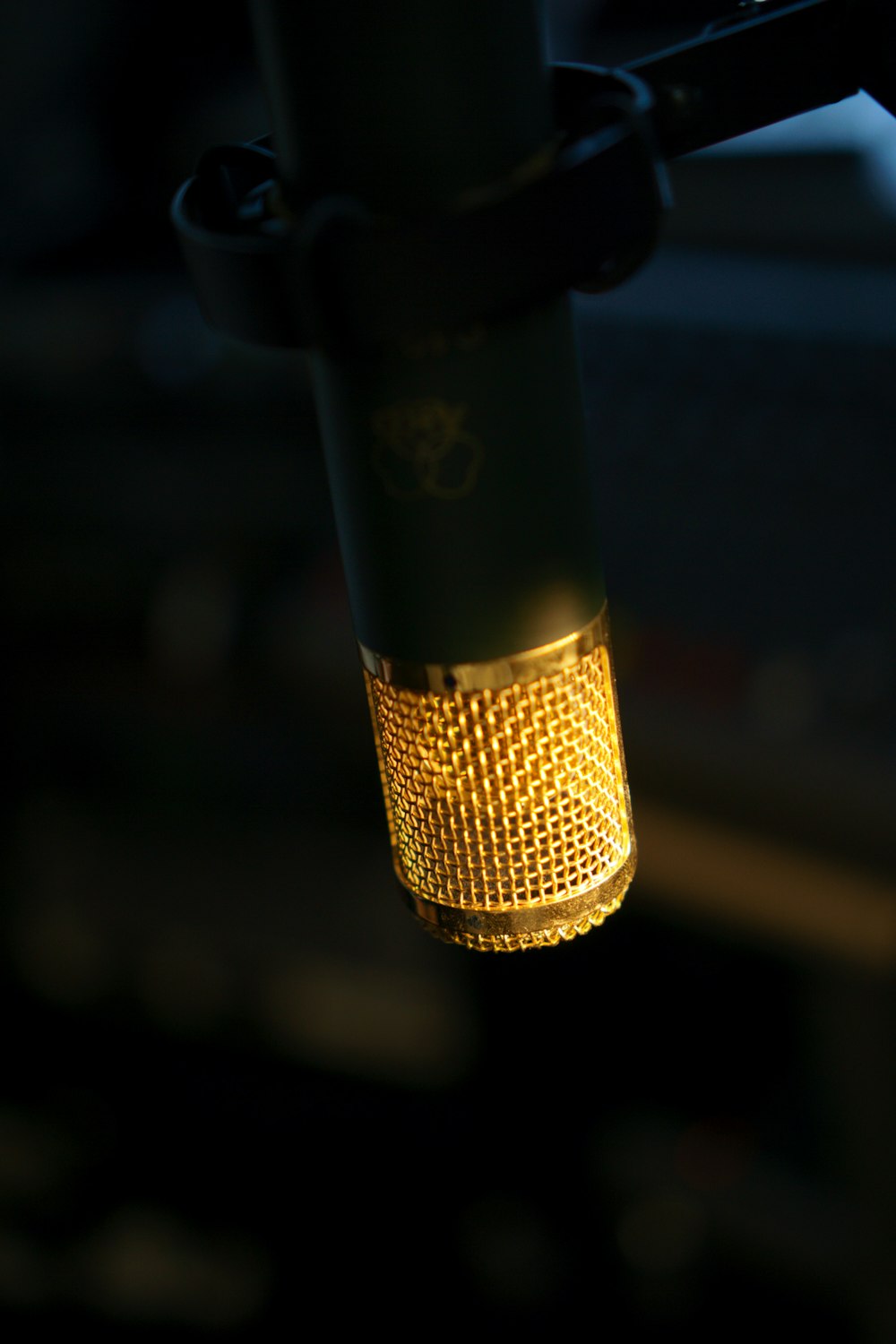 selective focus photography black and brown microphone