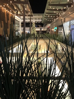 Evening view of the mall lit up with warm lights and festive decorations.