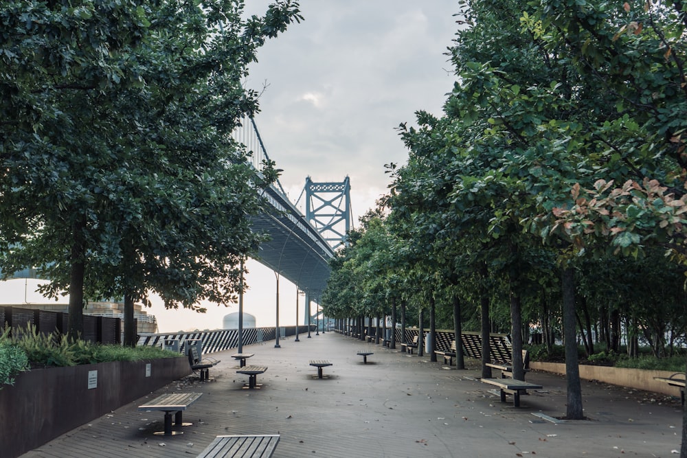 tables and trees on park