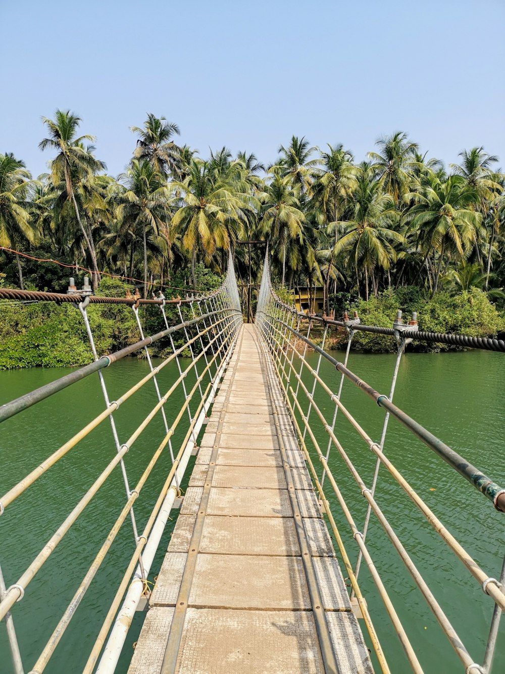 brown wooden bridge photograph