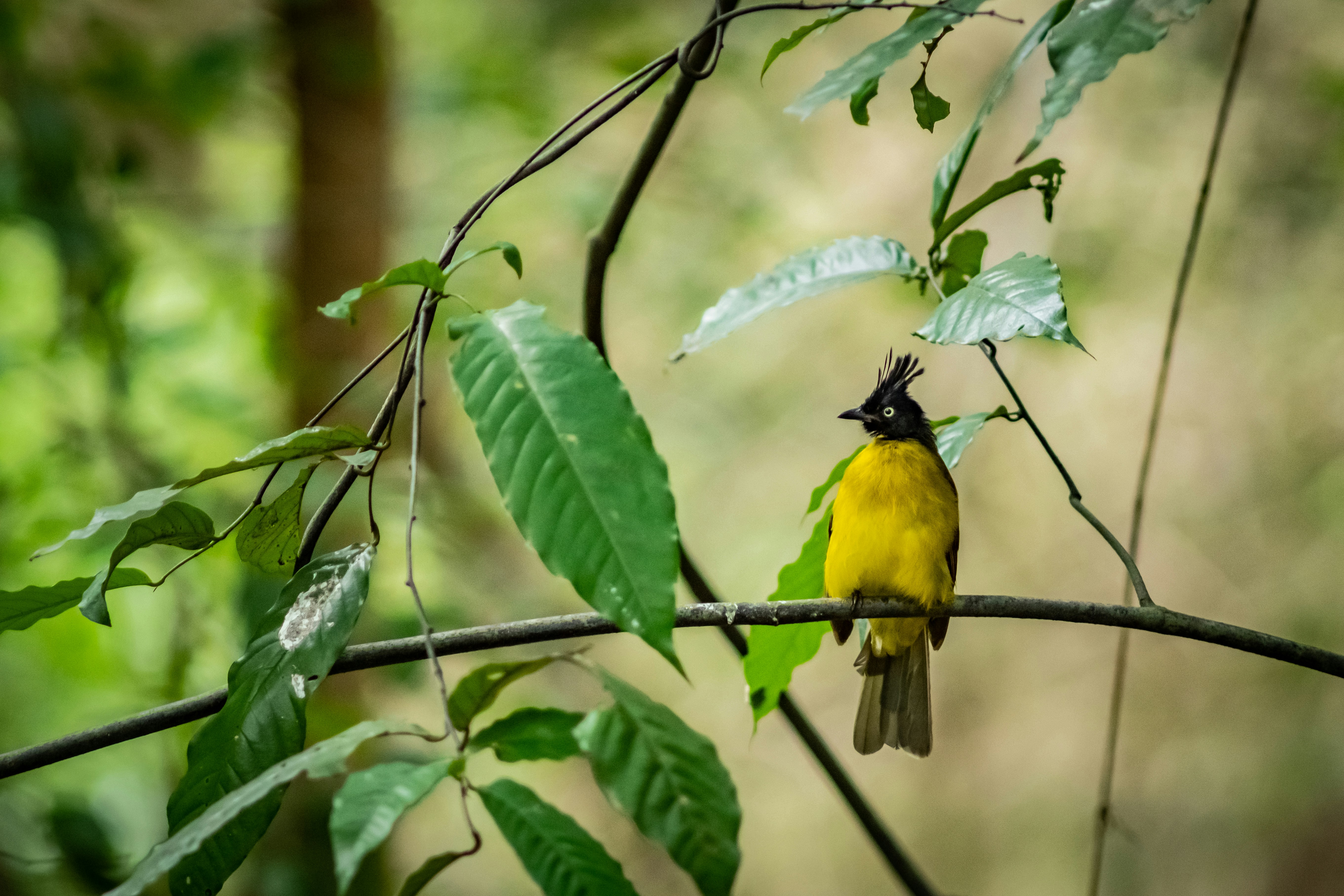 Photo by worachatsodsri