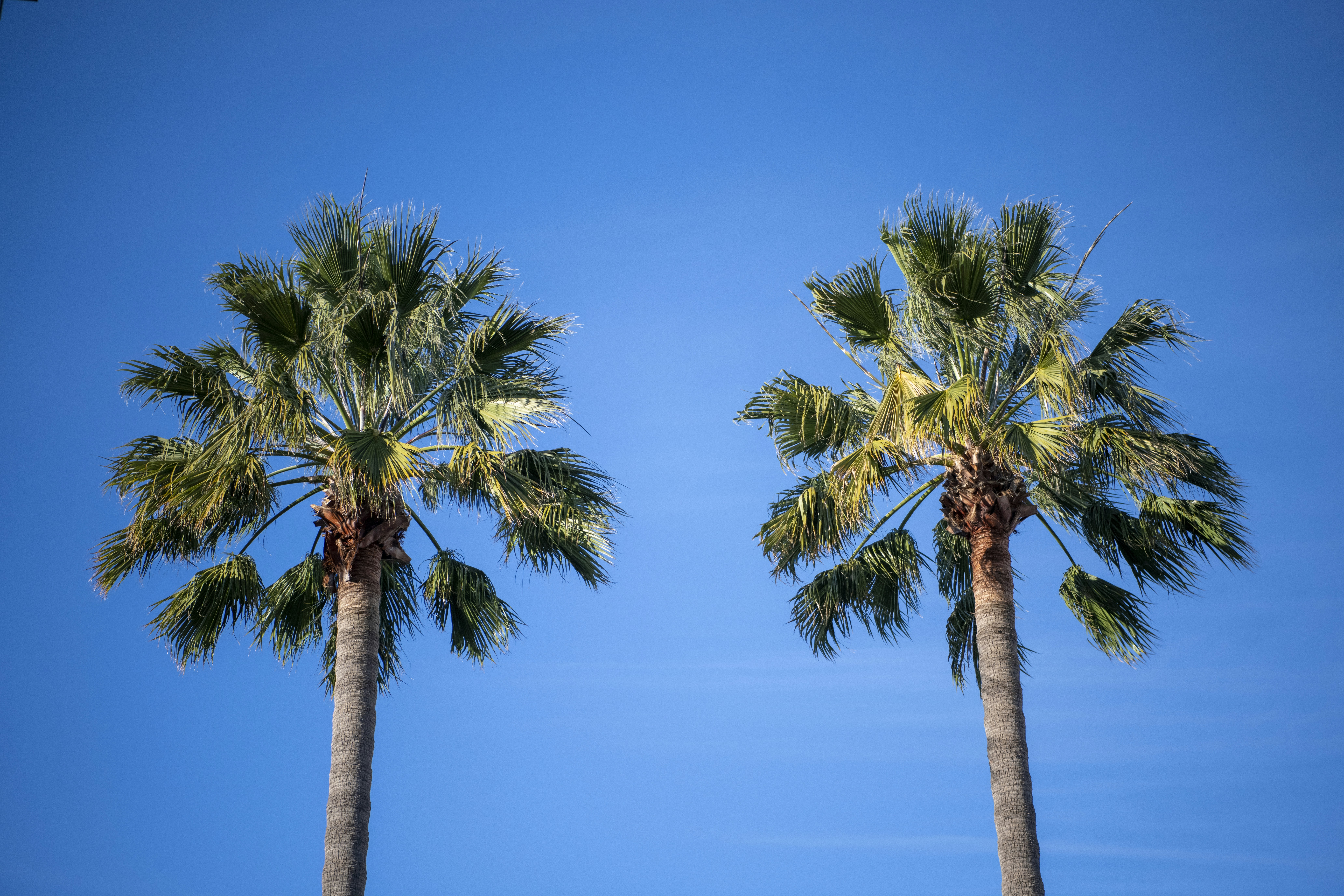 Desert Falls Country Club