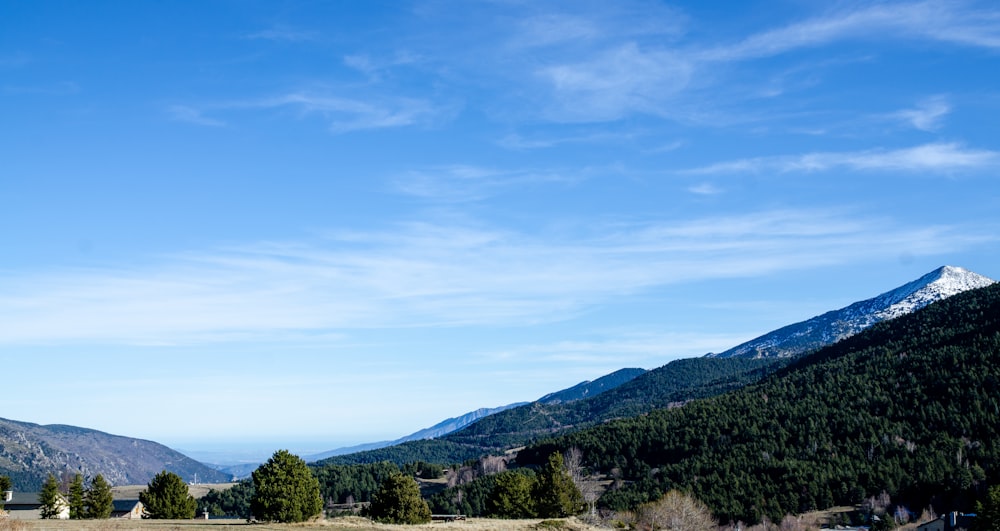 mountains and trees under blue sky