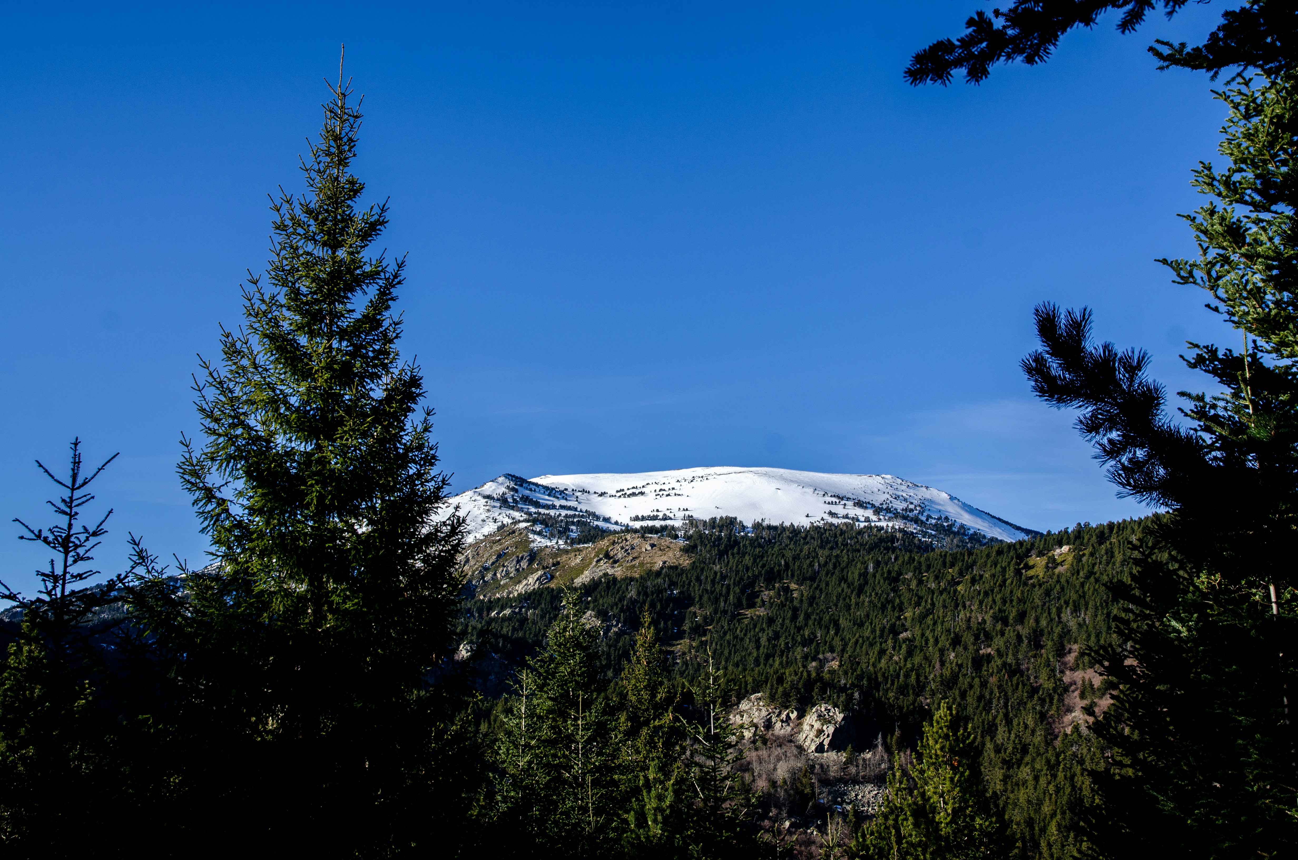 Photo by guillemcotcha