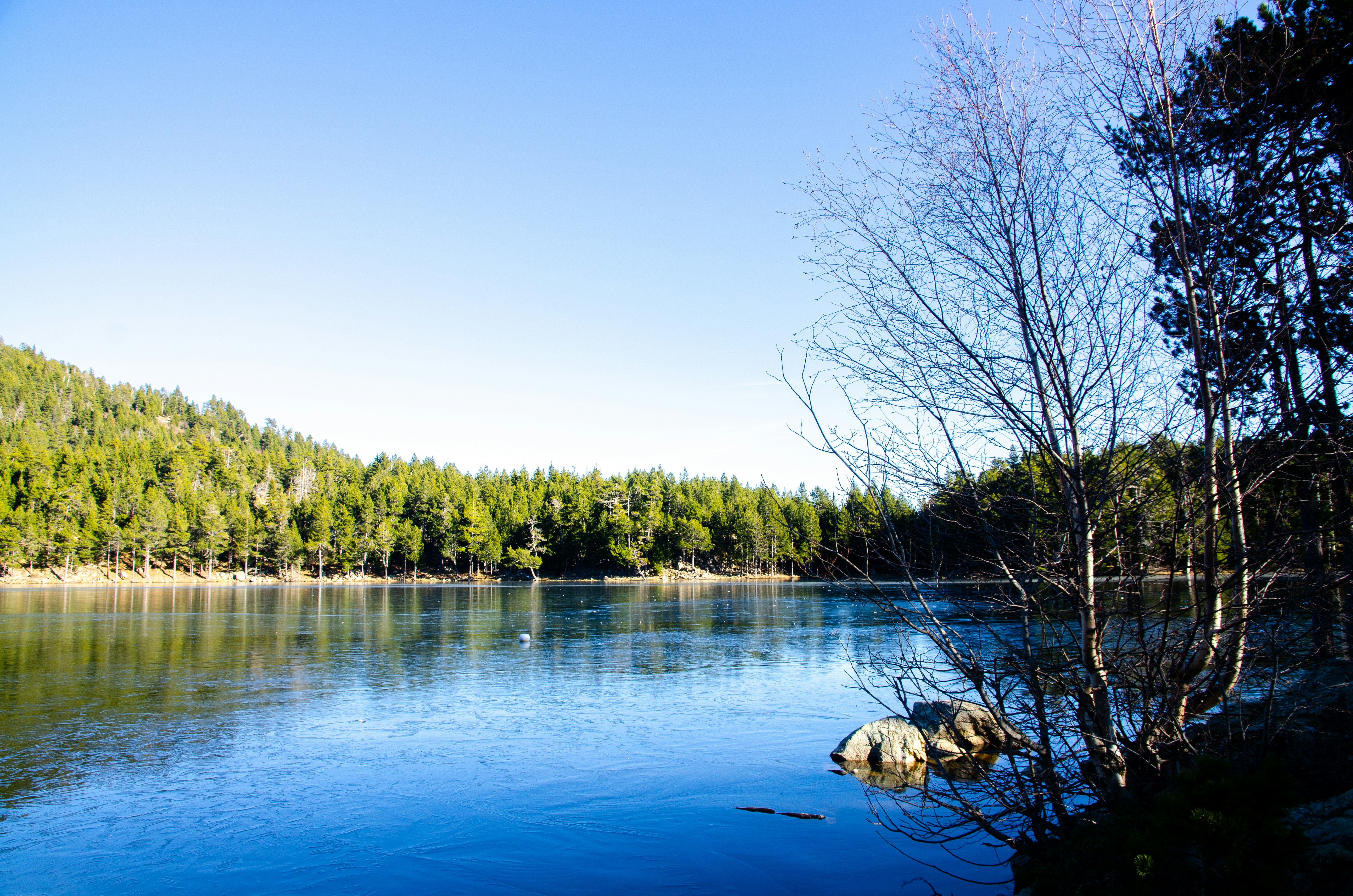 Photo by guillemcotcha