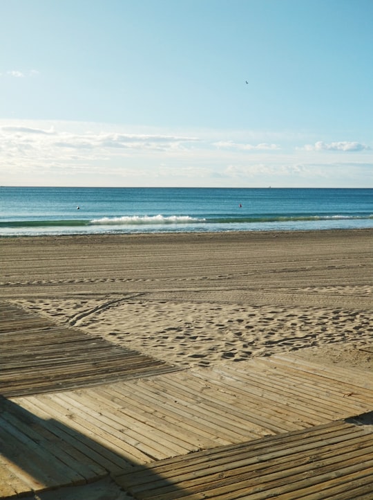 Playa del Postiguet things to do in Club Náutico Marina Internacional