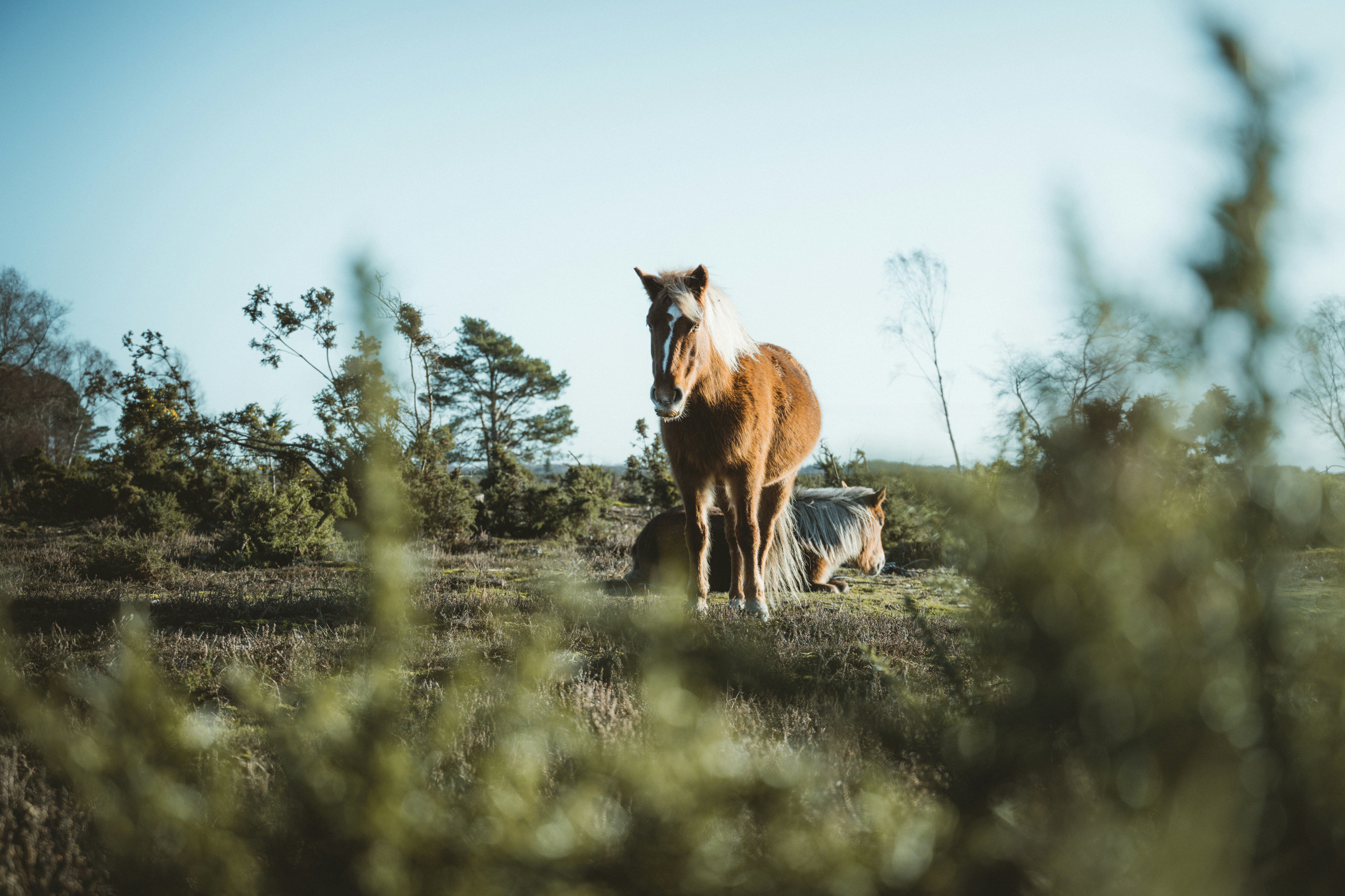 Photo by anniespratt