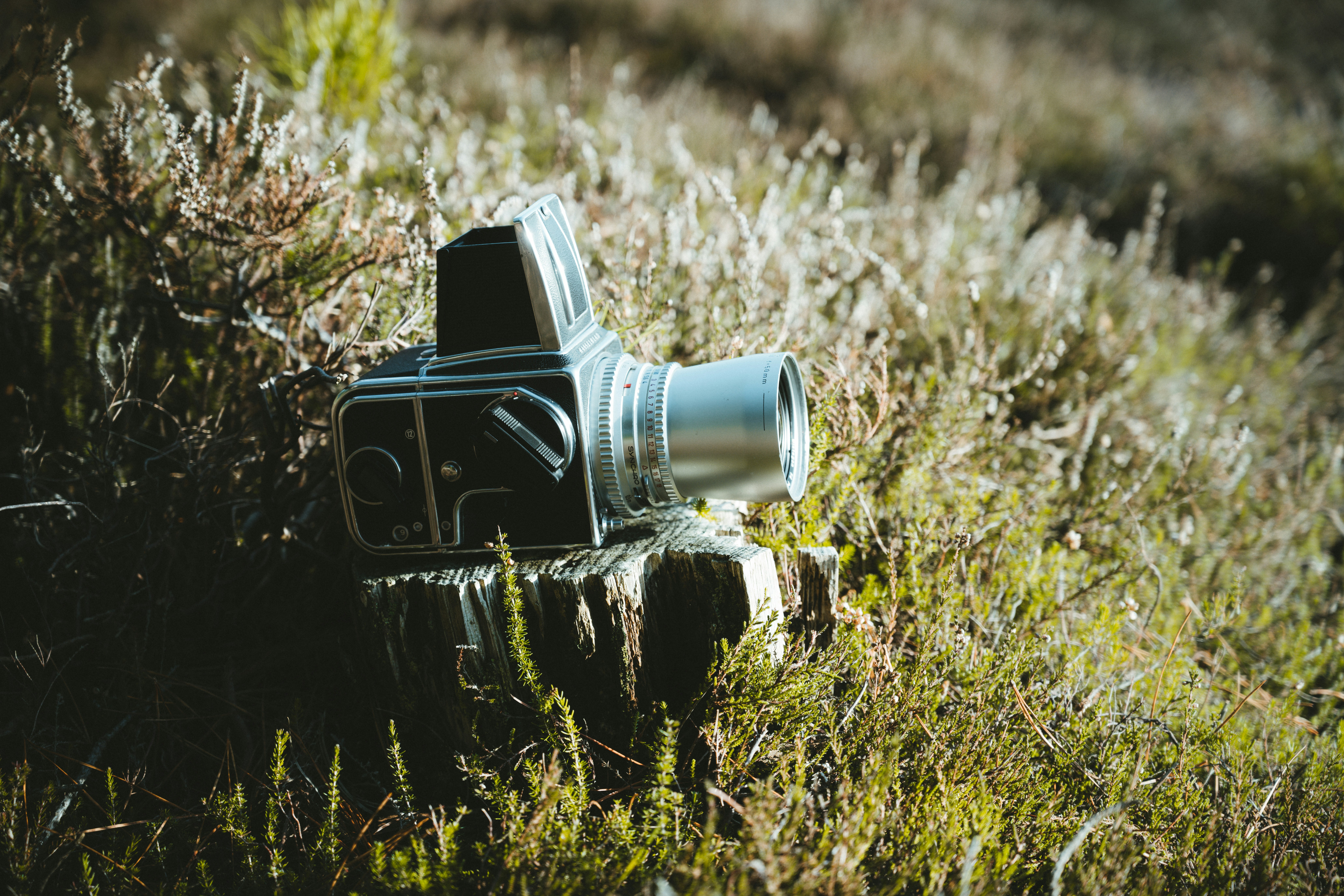gray and black camera on wood on grass field