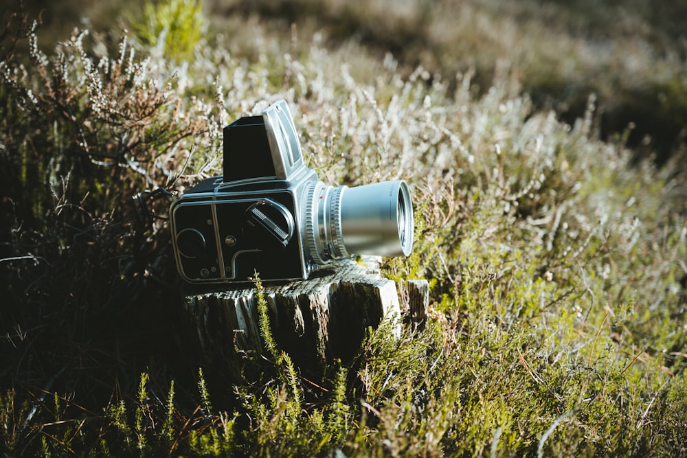 Graue und schwarze Kamera auf Holz auf Rasen