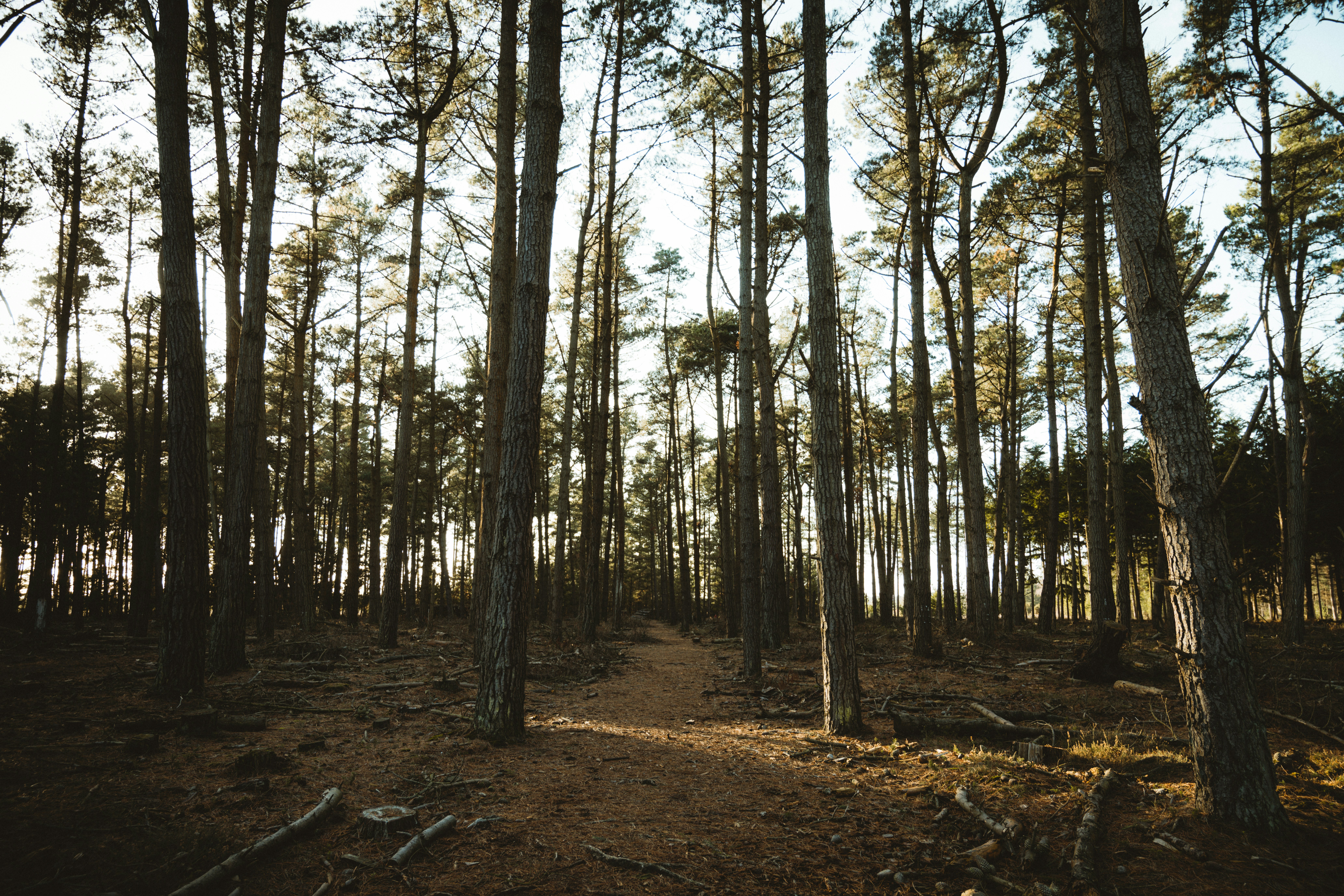 Photo by anniespratt