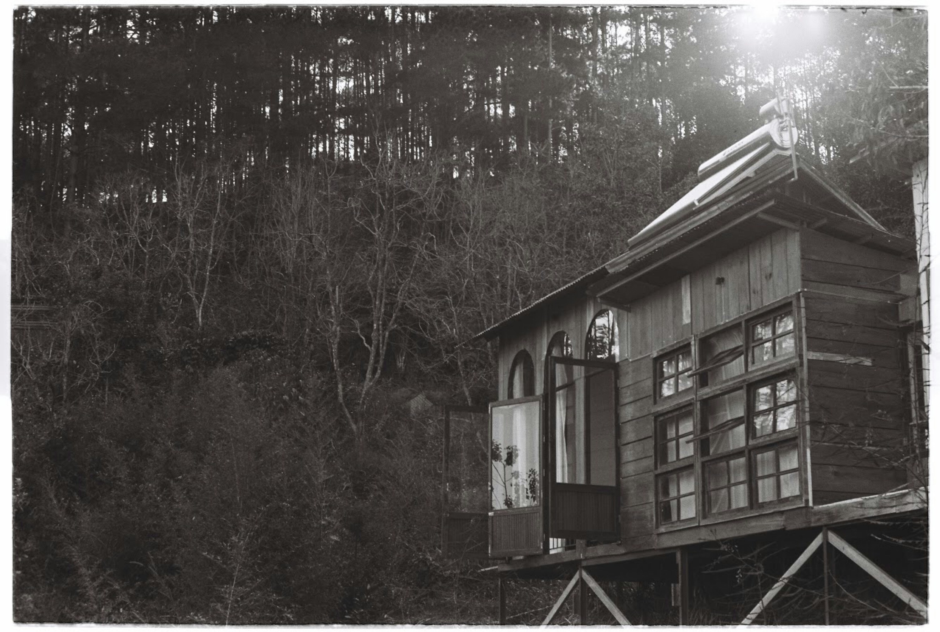 Grayscale Photo Of Wooden House Near Trees Photo Free Building