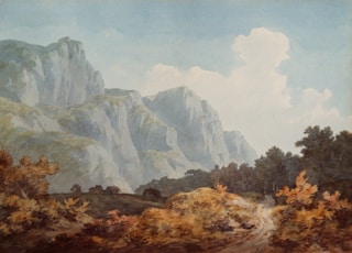 brown and grey trees and rock formation painting