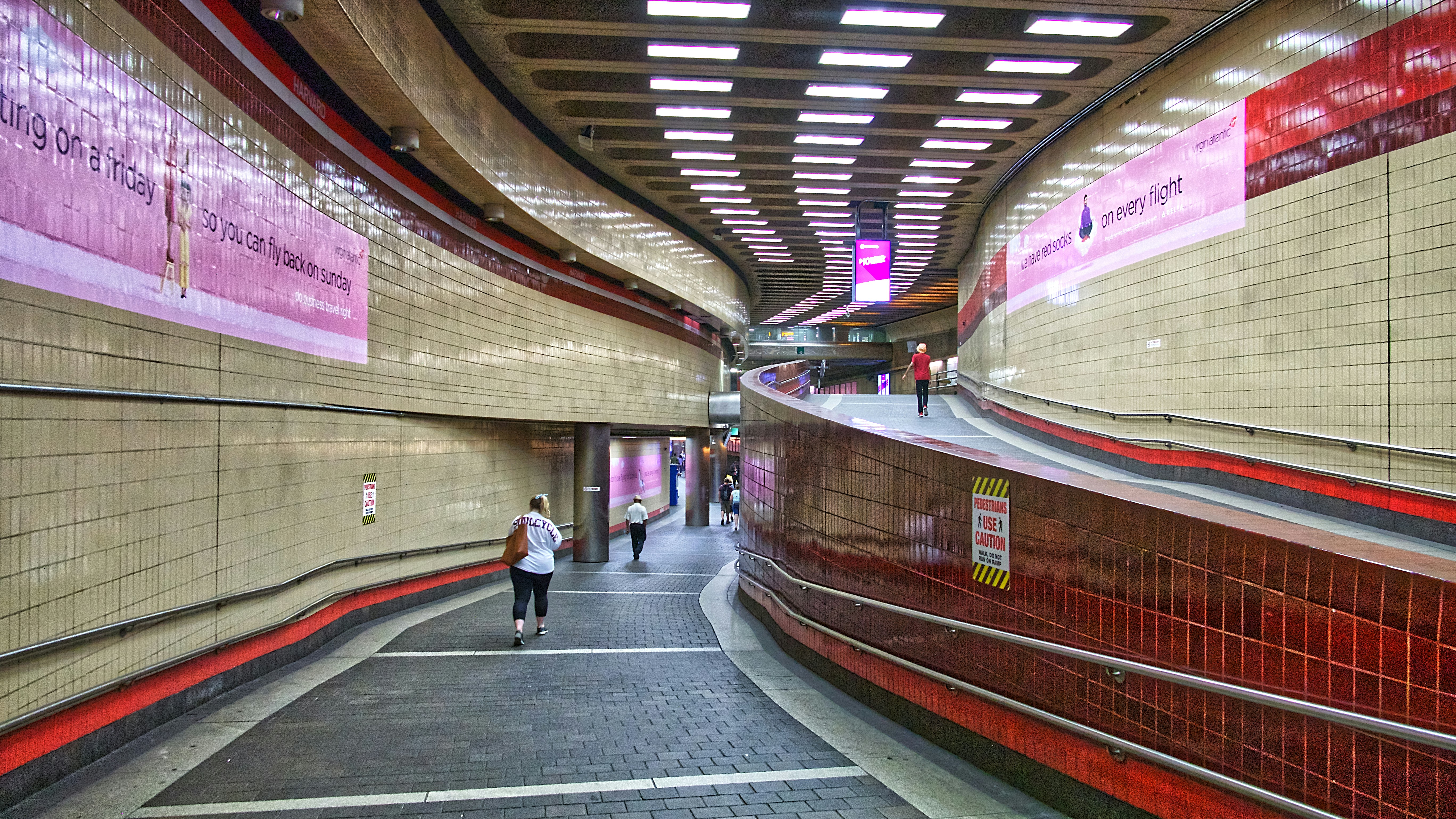 CS50 local development