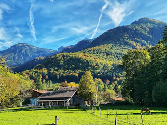 A warm, inviting photo of a rustic mountain farm in Uttarakhand with millet crops swaying gently in the breeze.