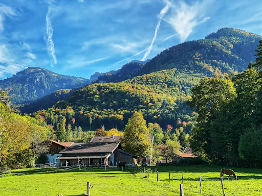 A warm, inviting photo of a rustic mountain farm in Uttarakhand with millet crops swaying gently in the breeze.