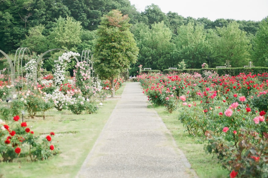 Beautiful English Garden Ideas To Transform Your Garden