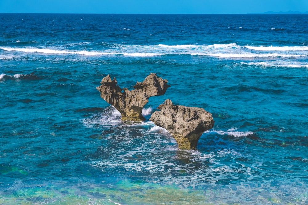 rocky shore during day