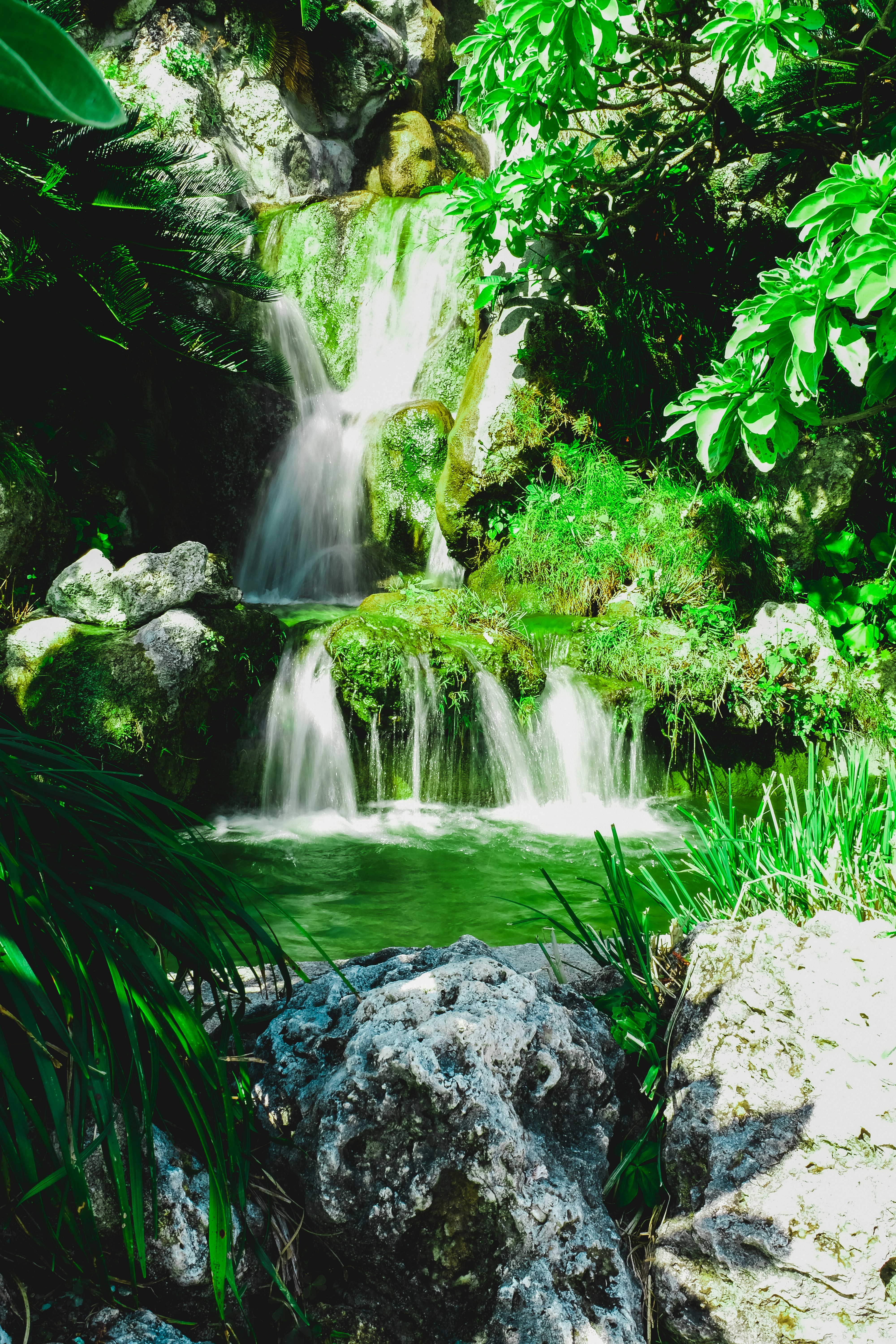 Photo by skaterlunatic