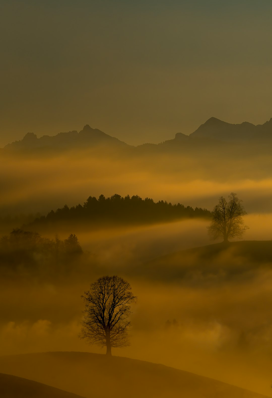 mist and mountains