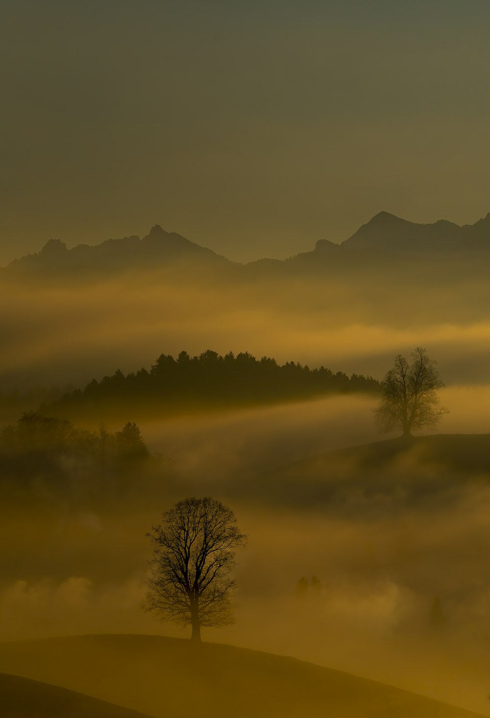 névoa e montanhas