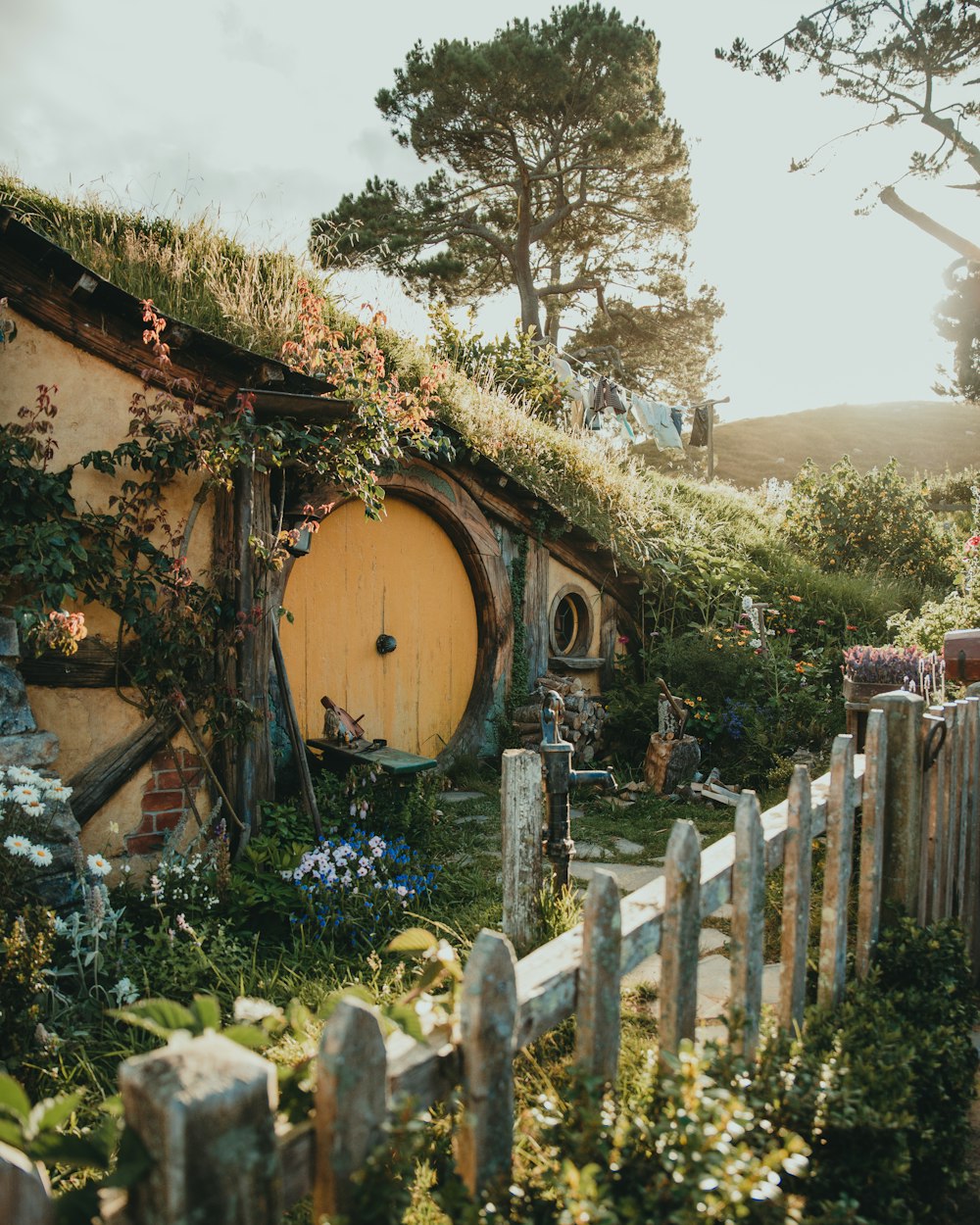 brown and green house