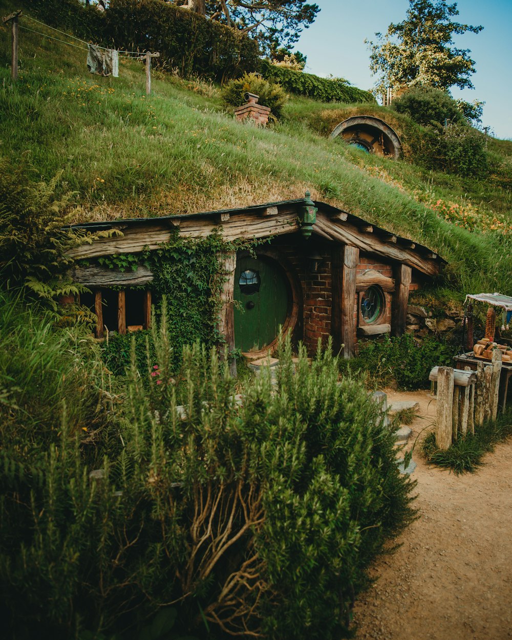 green and brown house