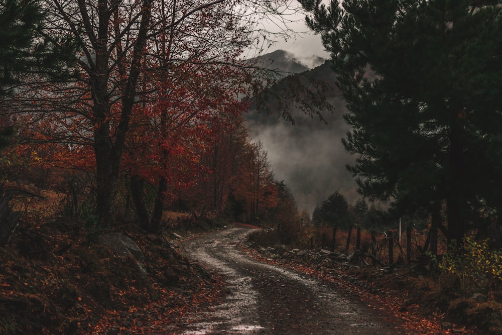 brown and green trees