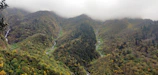 Panoramic view of the misty Chocó Andean mountains with lush green canopy