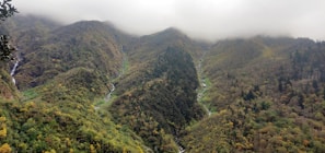 A panoramic shot of the resort nestled in dense forest with misty mountains beyond