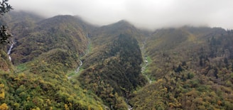 A panoramic shot of the resort nestled in dense forest with misty mountains beyond