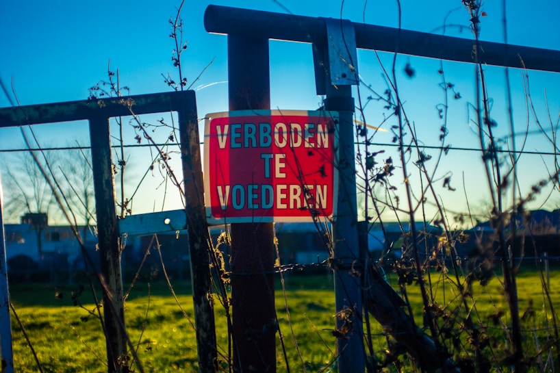 A red sign with white text hangs on a metal fence, displaying the words 'VERBODEN TE VOEDEREN'. The fence is surrounded by dry plants and branches. In the background, there is a grassy field, residential buildings, and a blue sky.