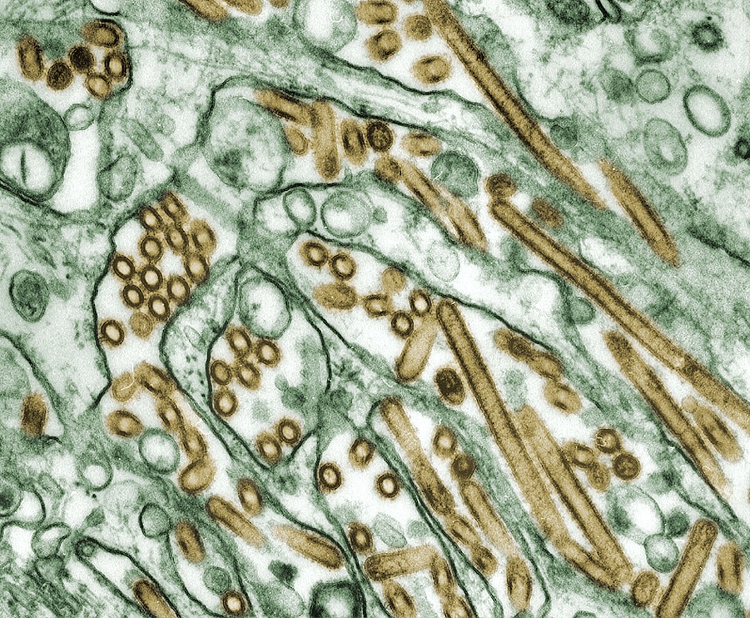 Germ Warfare: How to Dodge Dirt and Bacteria on Your Next Flight… — Germ Warfare