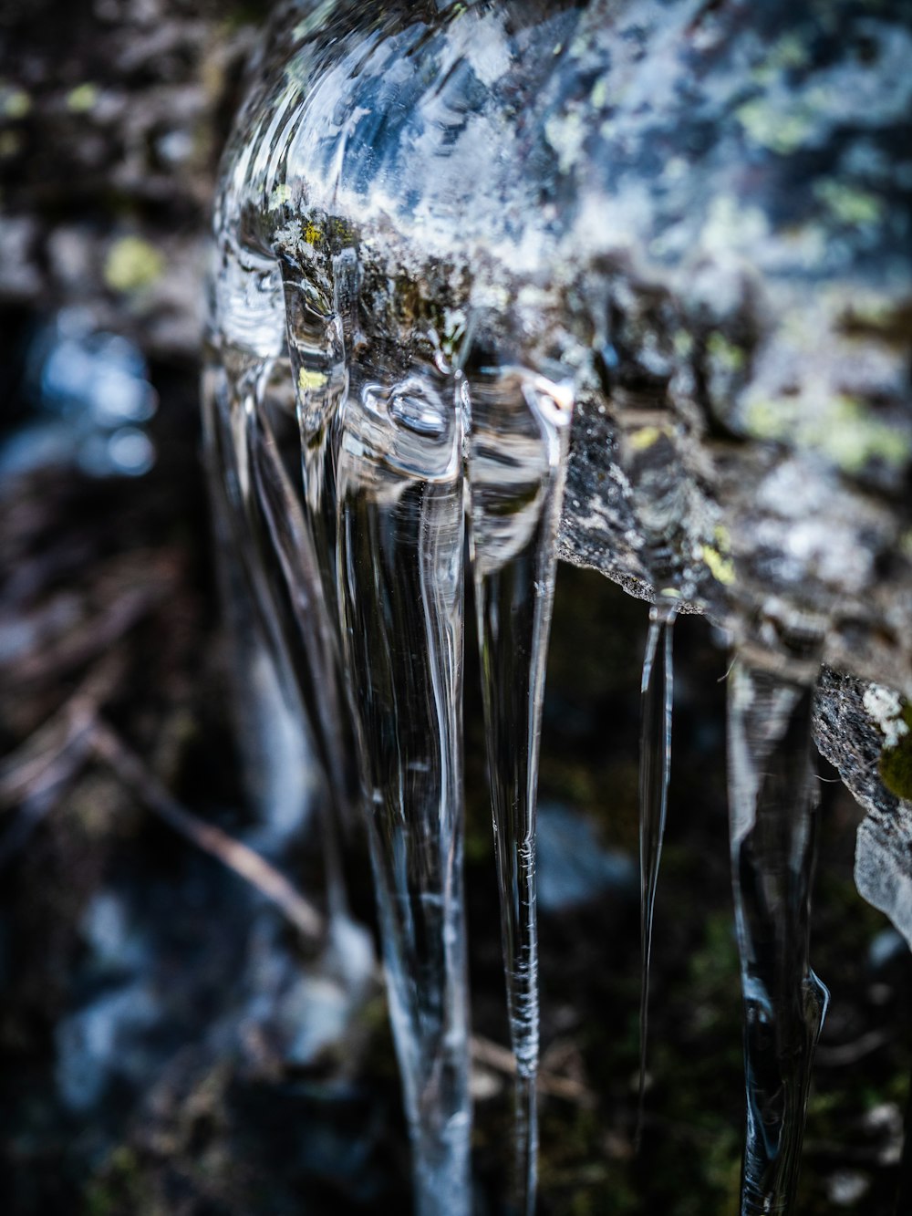 close-up photography of ice formation
