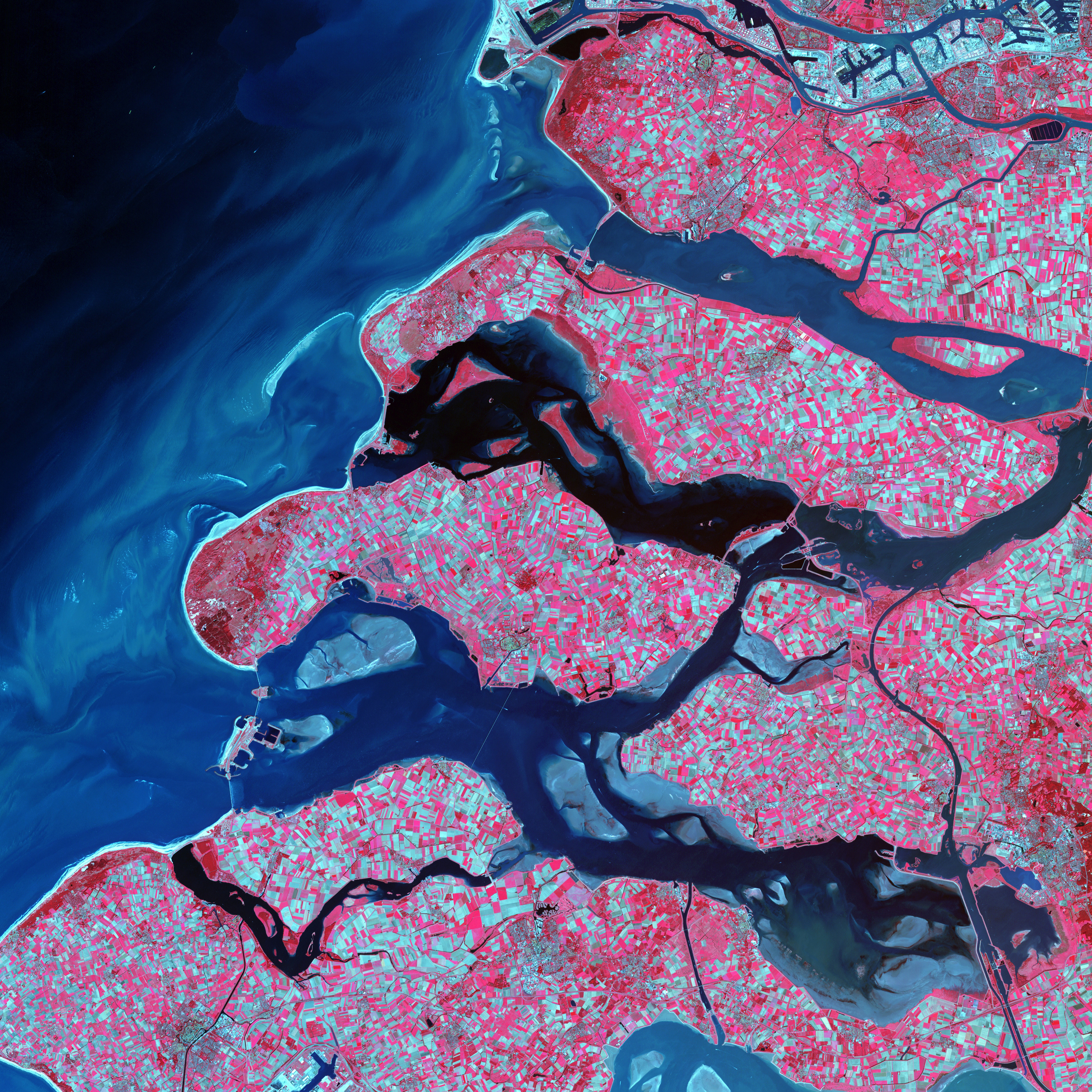 A Warmer World: The Unseen Impact Of Deforestation