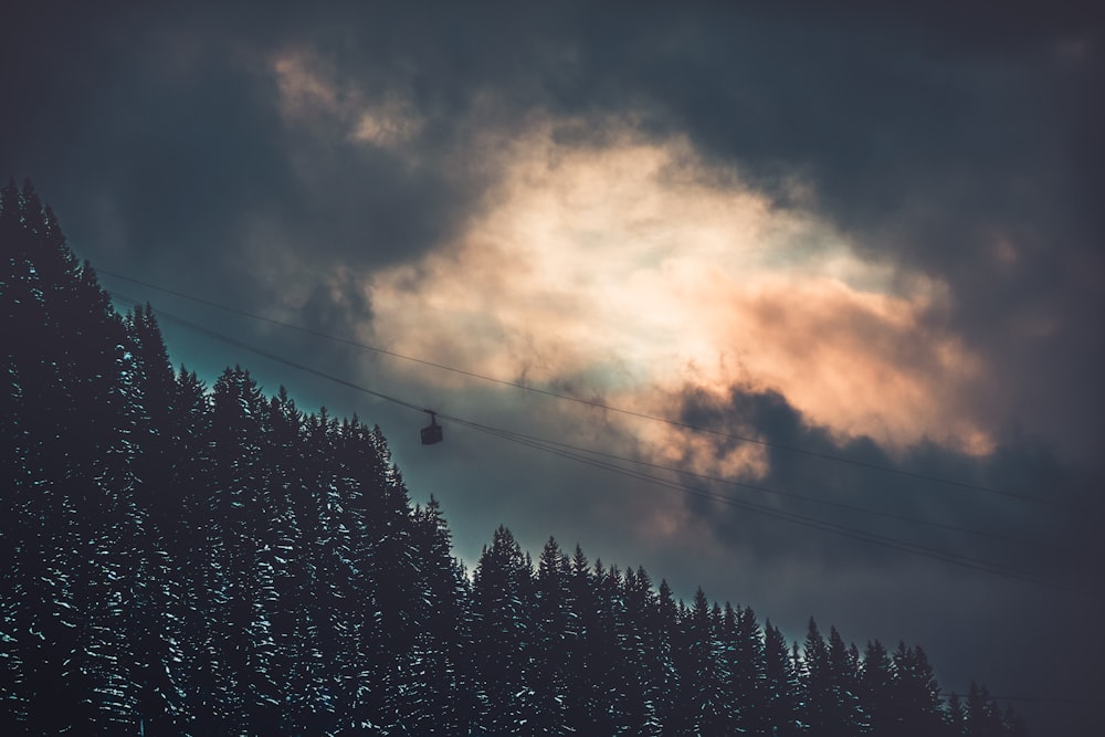 cable car ver trees under heavy clouds