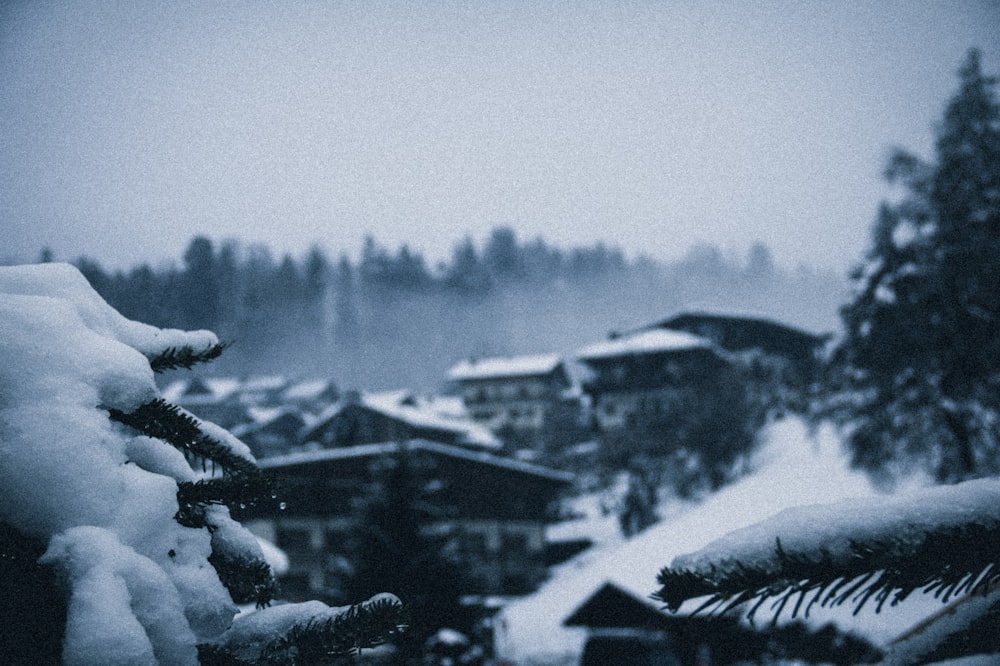 snow covered house