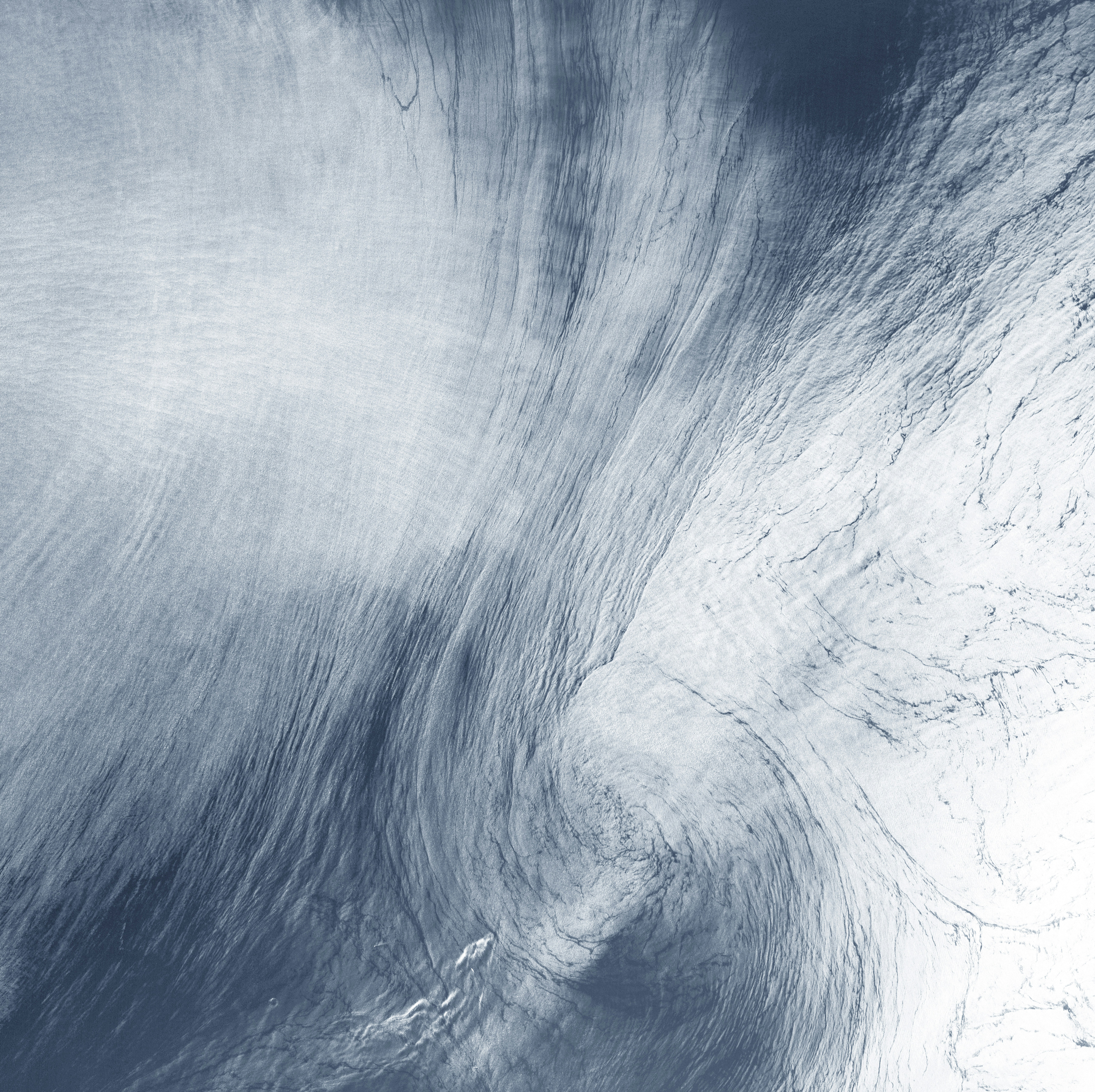 The Deadly Duo: Global Warming And Deforestation