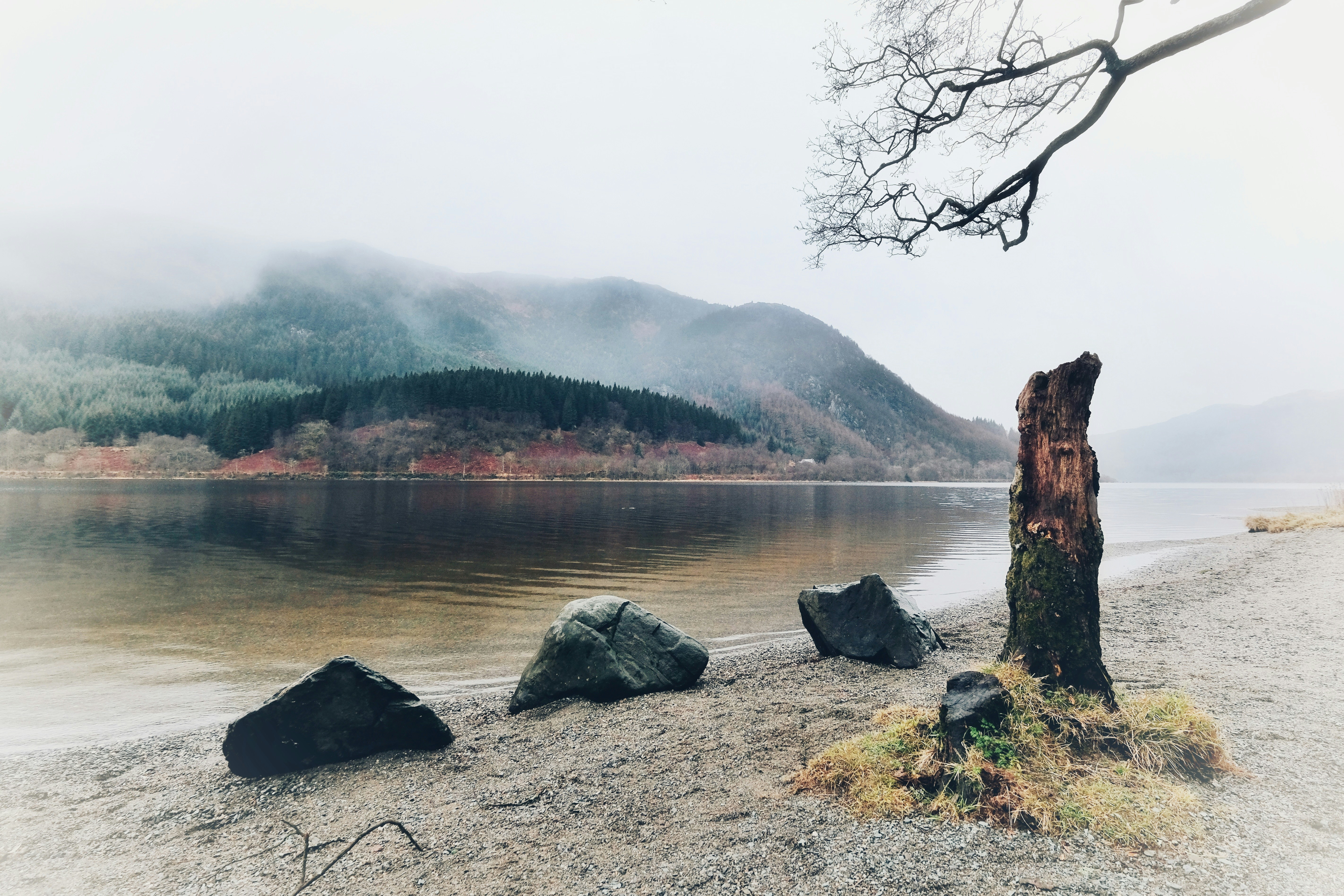 Photo by mlightbody