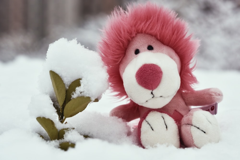 pink and white lion plush toy beside green-leafed plant on snow during daytime