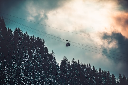 cable car over trees in Megève France