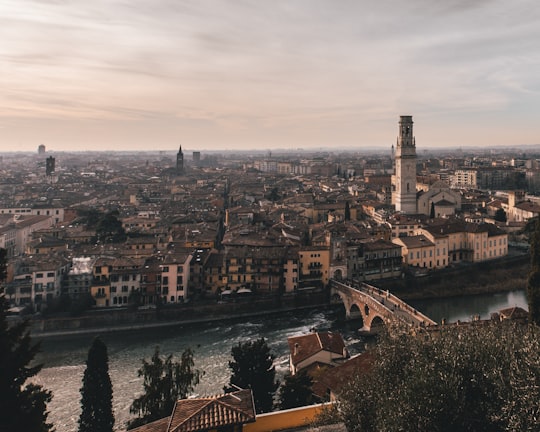 aerial photo of cityscape during daytime in Verona Italy