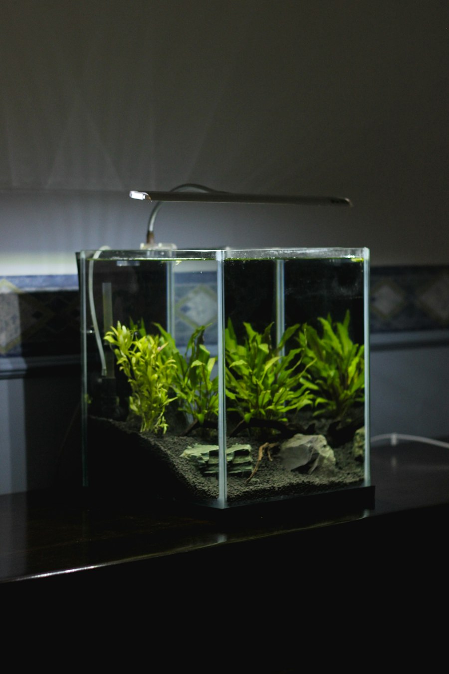 Bộ Hồ Nano 20cm Bàn Làm Việc