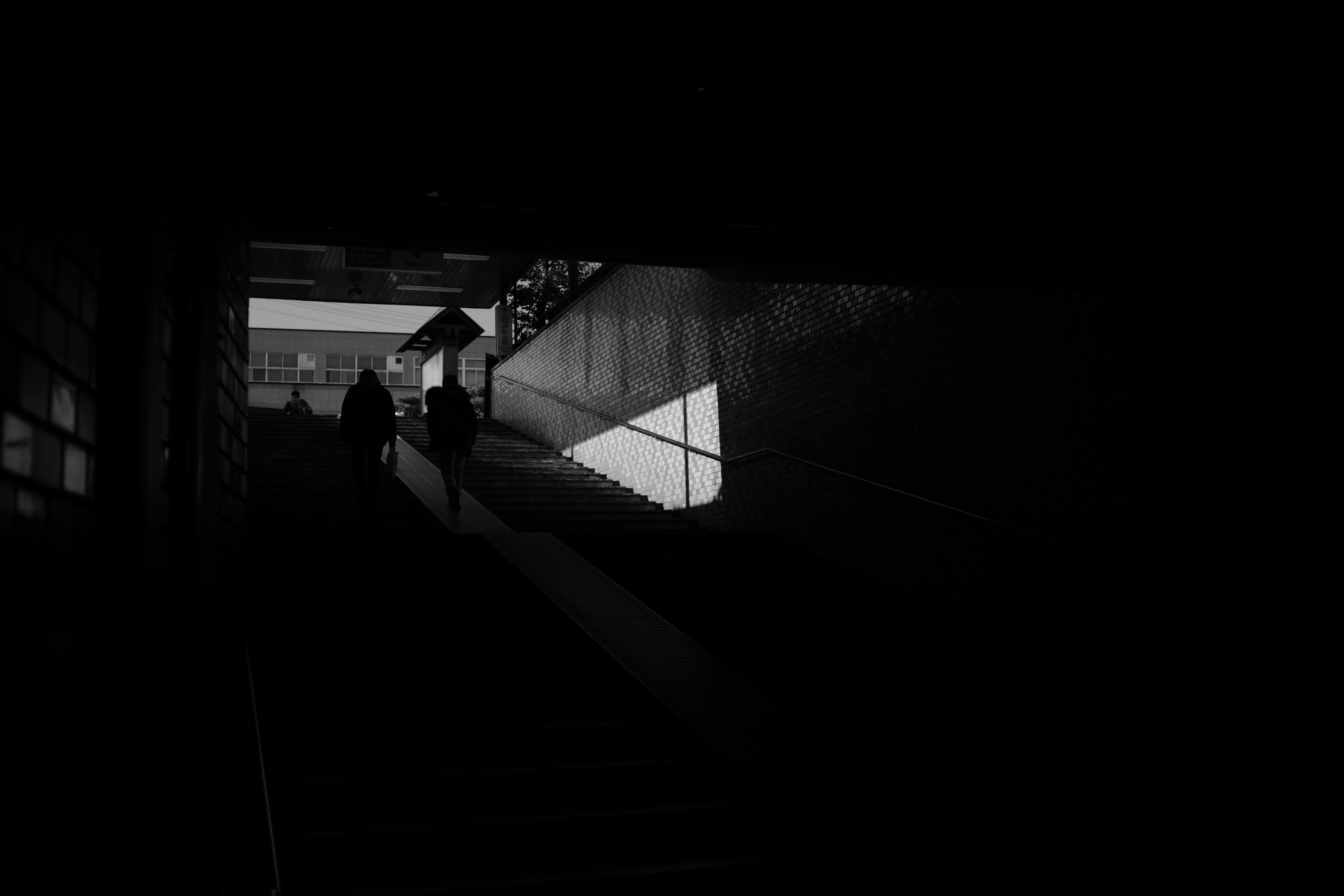 Experiencias Visuales Impactantes