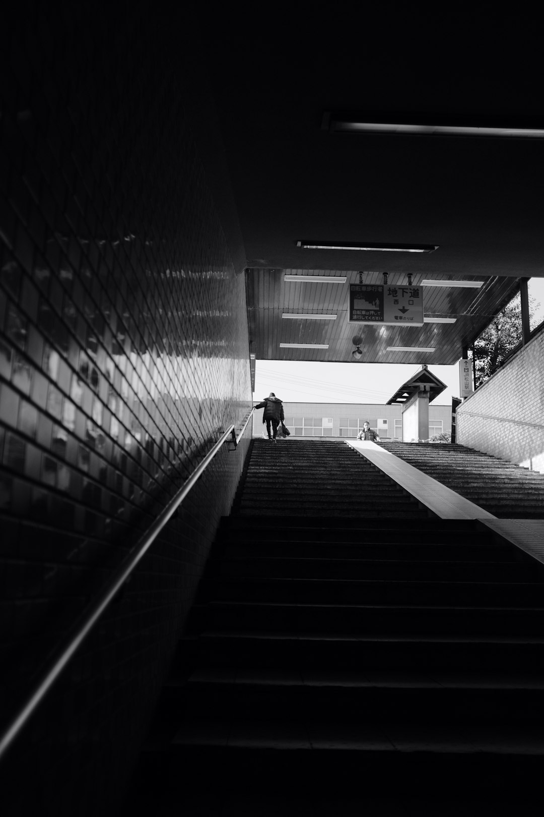 grayscale photography of person walking on stairway