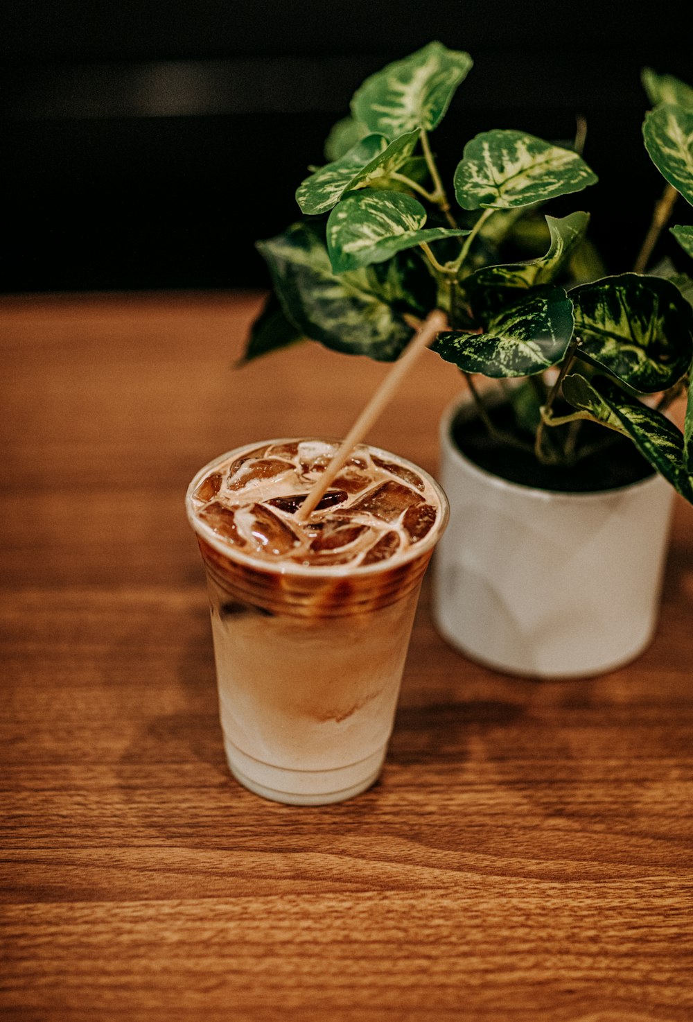 white potted green leafed plant beside white plastic cup